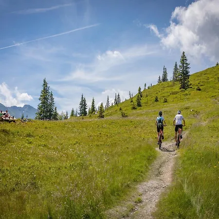 In Near Hochzillertal Area, Cleaning Included